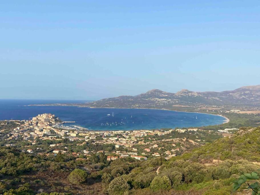 Exceptionnelle Vue Mer Calvi - Piscine - T2 Luaran gambar