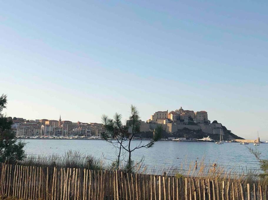 Exceptionnelle Vue Mer Calvi - Piscine - T2 Luaran gambar